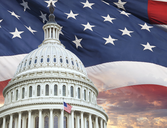 Image: Capitol with American Flag in background