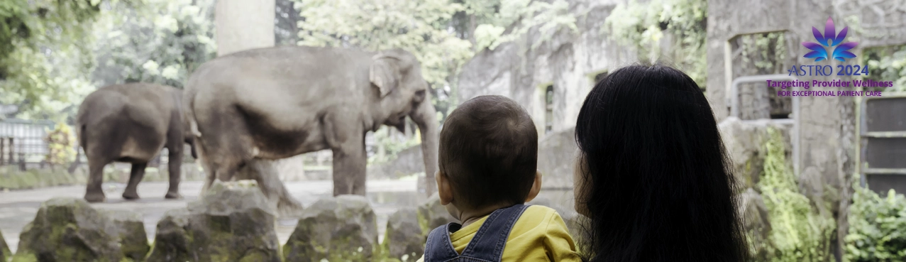 Mother and child at the zoo watching elephants