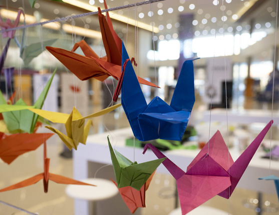 Image: Origami cranes in multiple colors hanging on an art display