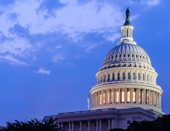 Image: picture of the US Capital Dome